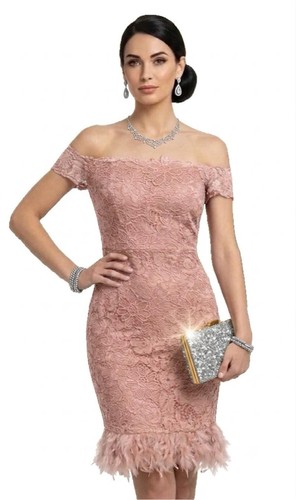 Lipsy feder nude rosa spitze - feder,